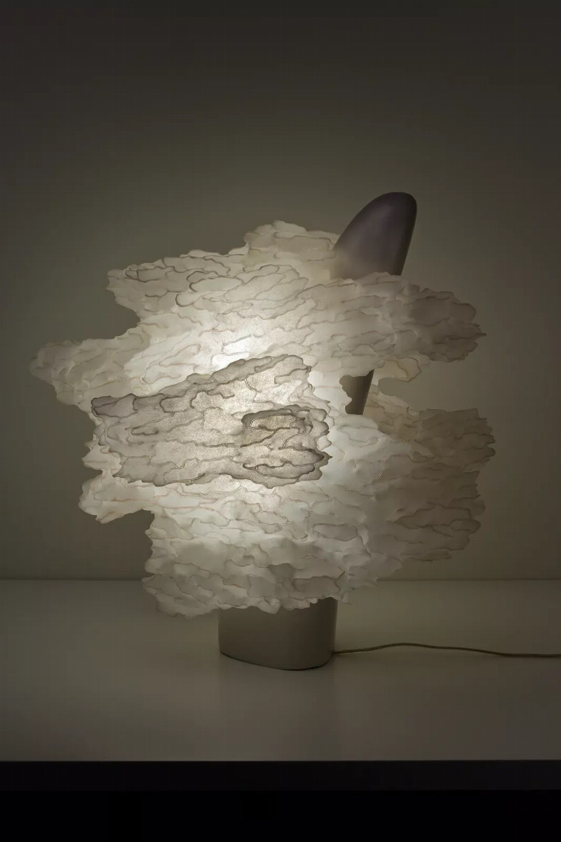 Soma Series: Adaptation, Contemporary Handmade Light Sculpture