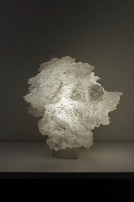 Soma Series: Adaptation, Contemporary Handmade Light Sculpture