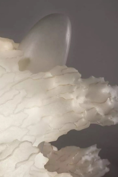 Soma Series: Adaptation, Contemporary Handmade Light Sculpture