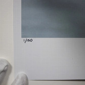 Palm Beach Pool Party