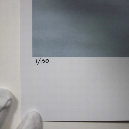 Palm Beach Pool Party