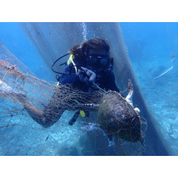 Save Coral Reefs in Malaysia