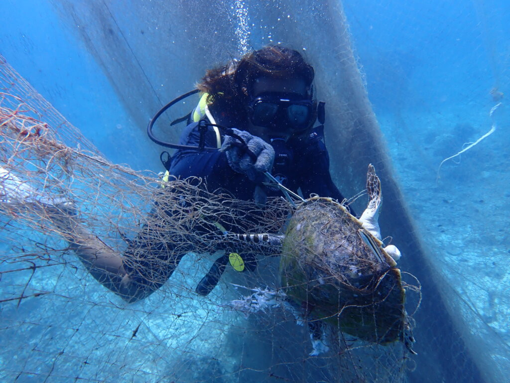 Save Coral Reefs in Malaysia