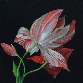 Dutch flower | Original Contemporary Artwork | ArtXchange