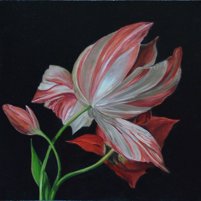 Dutch flower | Original Contemporary Artwork | ArtXchange