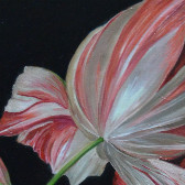Dutch flower | Original Contemporary Artwork | ArtXchange